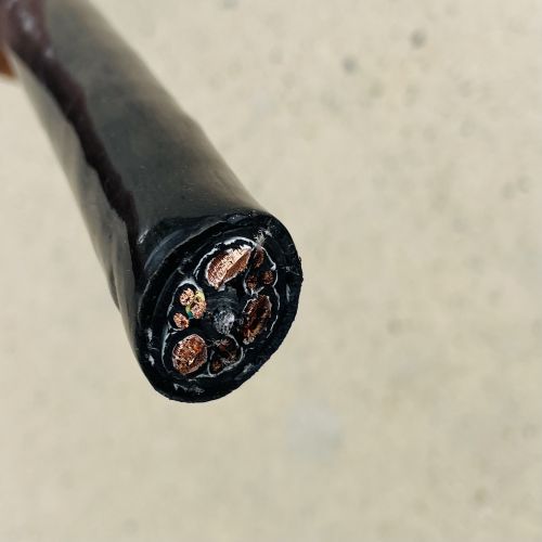 ������̳��hibet(�й�)�ٷ���վ