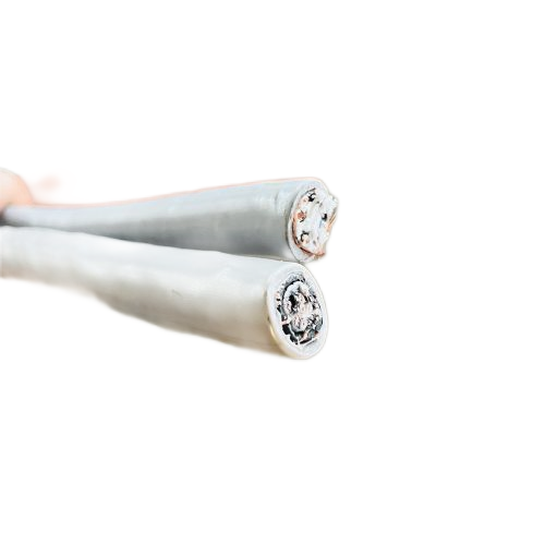 ������̳��hibet(�й�)�ٷ���վ