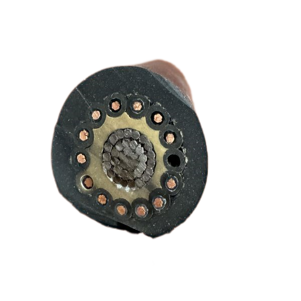 ������̳��hibet(�й�)�ٷ���վ