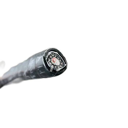 ������̳��hibet(�й�)�ٷ���վ