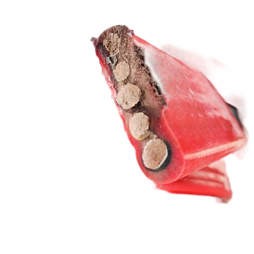 海博论坛·hibet(中国)官方网站