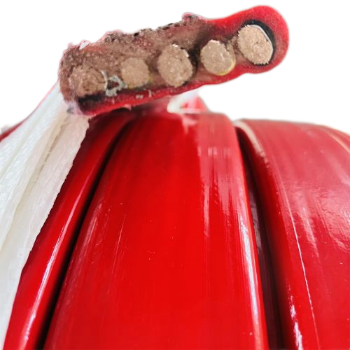 ������̳��hibet(�й�)�ٷ���վ