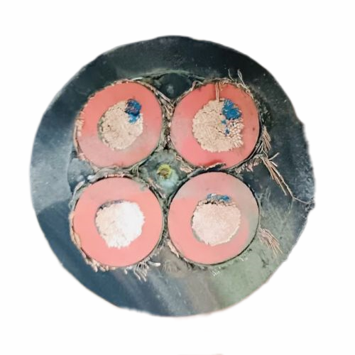 ������̳��hibet(�й�)�ٷ���վ