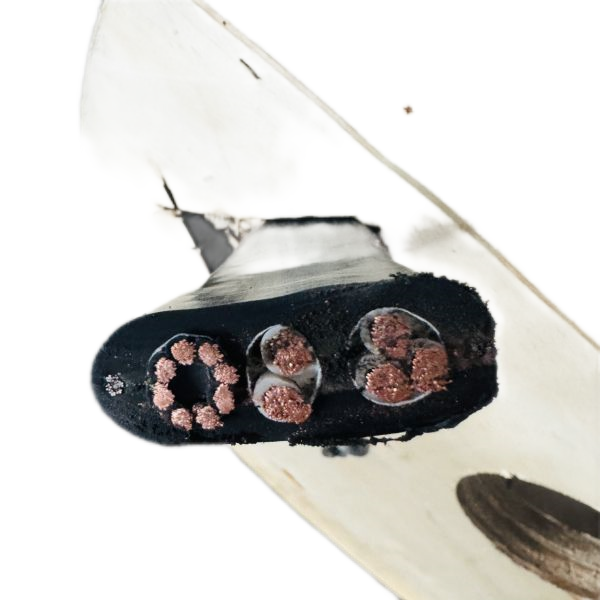 ������̳��hibet(�й�)�ٷ���վ