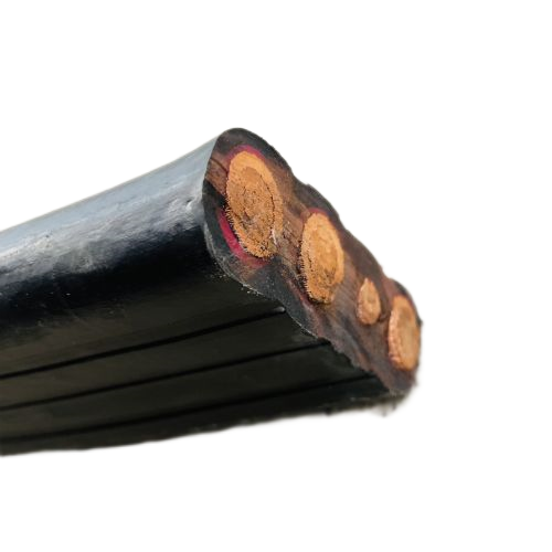 ������̳��hibet(�й�)�ٷ���վ