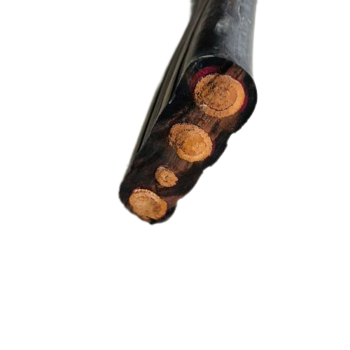 ������̳��hibet(�й�)�ٷ���վ