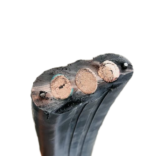 ������̳��hibet(�й�)�ٷ���վ