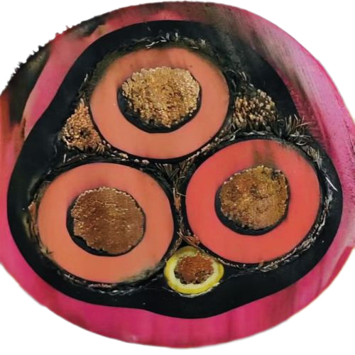 ������̳��hibet(�й�)�ٷ���վ