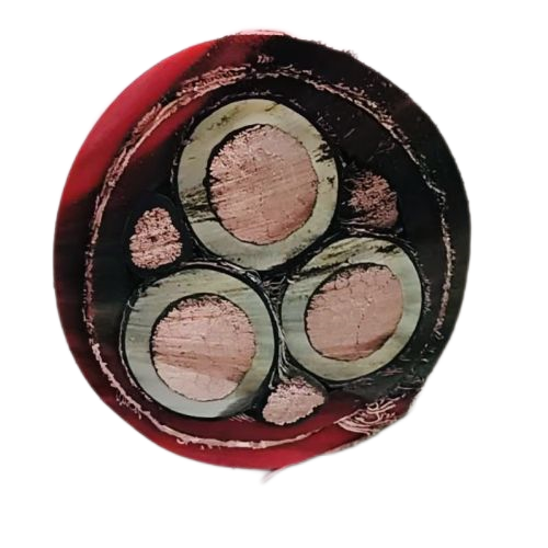 ������̳��hibet(�й�)�ٷ���վ