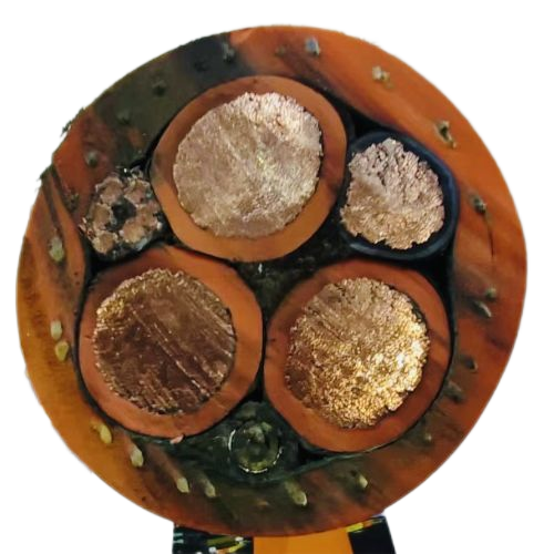 ������̳��hibet(�й�)�ٷ���վ