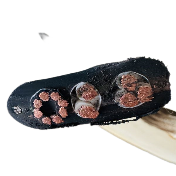 ������̳��hibet(�й�)�ٷ���վ