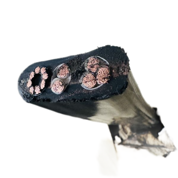 ������̳��hibet(�й�)�ٷ���վ