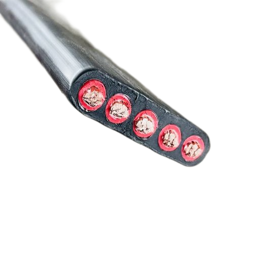 ������̳��hibet(�й�)�ٷ���վ