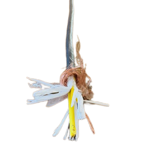 ������̳��hibet(�й�)�ٷ���վ