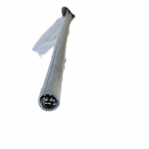 ������̳��hibet(�й�)�ٷ���վ