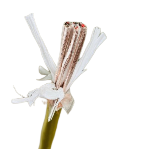 海博论坛·hibet(中国)官方网站