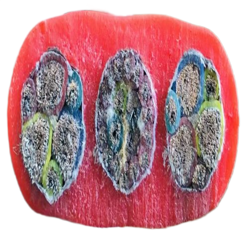 海博论坛·hibet(中国)官方网站