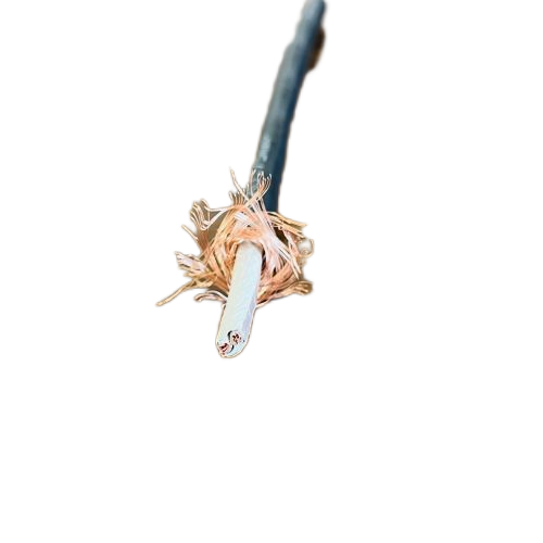 海博论坛·hibet(中国)官方网站