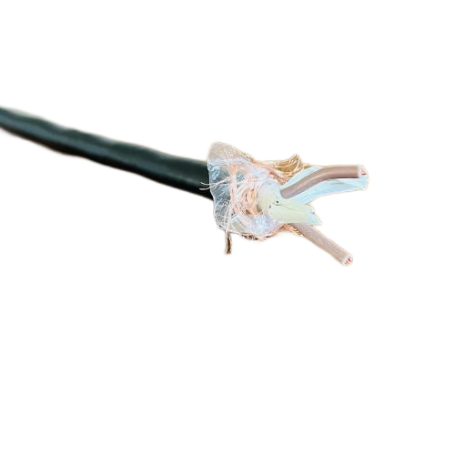 海博论坛·hibet(中国)官方网站