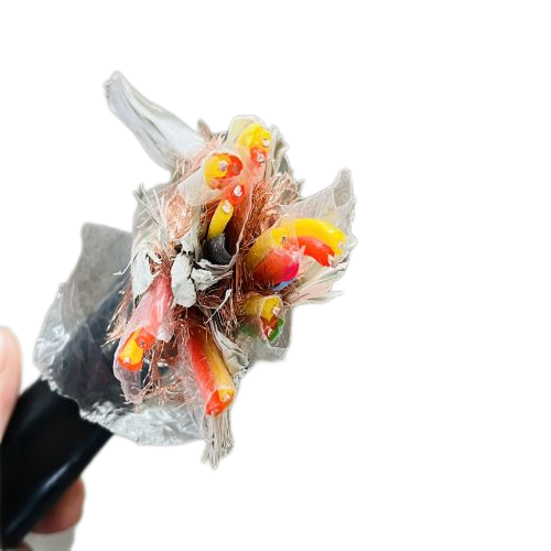 海博论坛·hibet(中国)官方网站