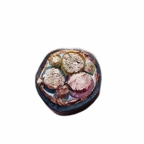 ������̳��hibet(�й�)�ٷ���վ