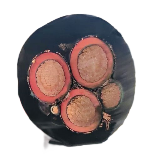 ������̳��hibet(�й�)�ٷ���վ