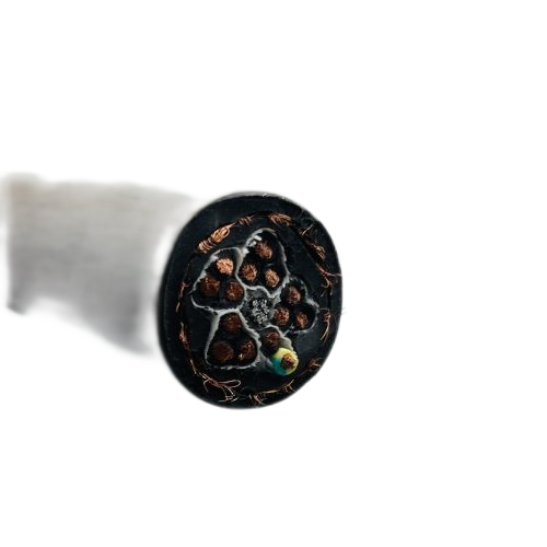 ������̳��hibet(�й�)�ٷ���վ