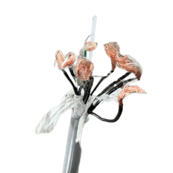 ������̳��hibet(�й�)�ٷ���վ