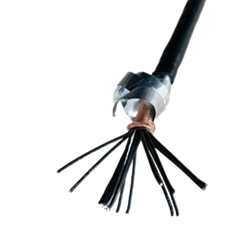 ������̳��hibet(�й�)�ٷ���վ