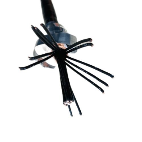 ������̳��hibet(�й�)�ٷ���վ