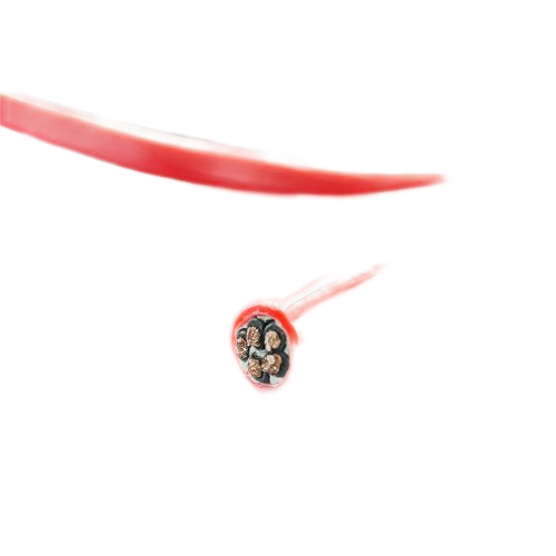 ������̳��hibet(�й�)�ٷ���վ