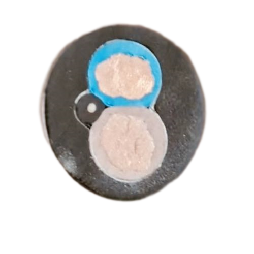 ������̳��hibet(�й�)�ٷ���վ