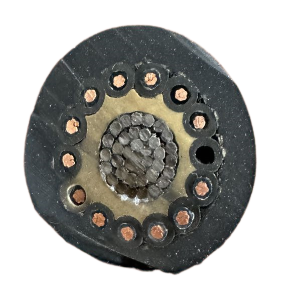 ������̳��hibet(�й�)�ٷ���վ