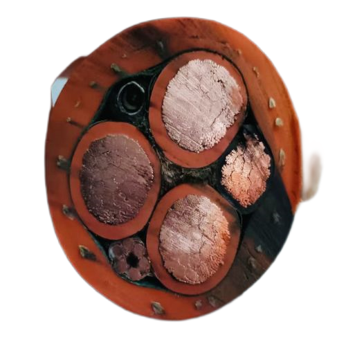 ������̳��hibet(�й�)�ٷ���վ