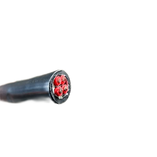 ������̳��hibet(�й�)�ٷ���վ