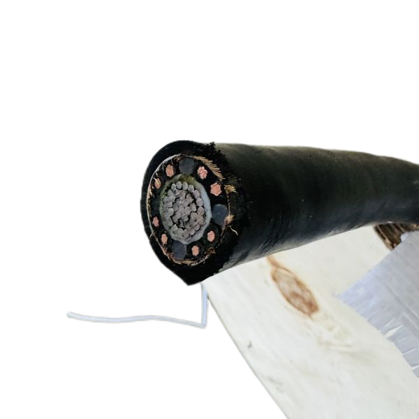 ������̳��hibet(�й�)�ٷ���վ