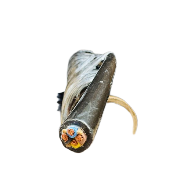 ������̳��hibet(�й�)�ٷ���վ