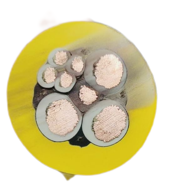 ������̳��hibet(�й�)�ٷ���վ