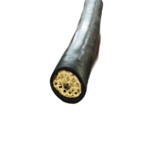 ������̳��hibet(�й�)�ٷ���վ