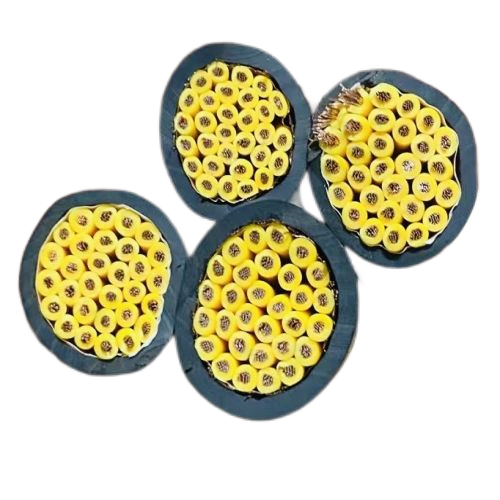 ������̳��hibet(�й�)�ٷ���վ