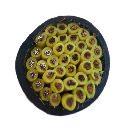 ������̳��hibet(�й�)�ٷ���վ