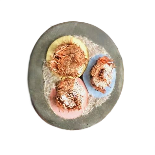 ������̳��hibet(�й�)�ٷ���վ