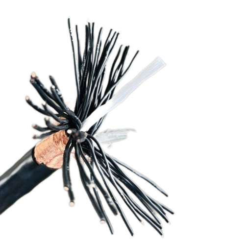 ������̳��hibet(�й�)�ٷ���վ