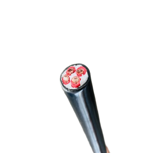 ������̳��hibet(�й�)�ٷ���վ