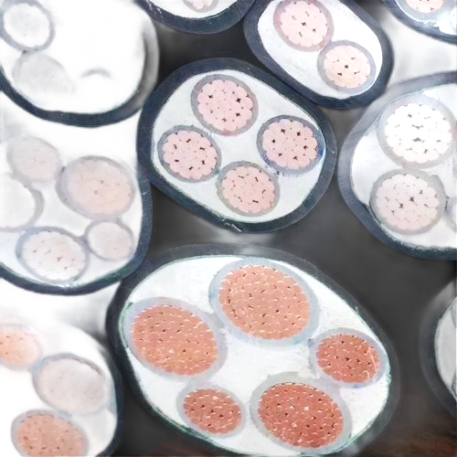 海博论坛·hibet(中国)官方网站