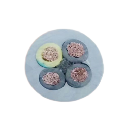 ������̳��hibet(�й�)�ٷ���վ