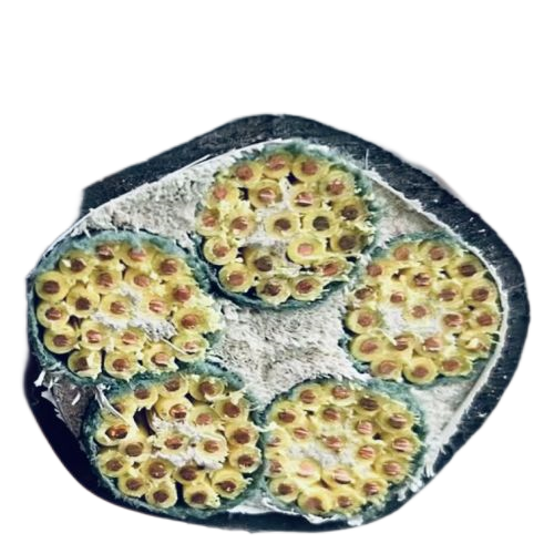 ������̳��hibet(�й�)�ٷ���վ