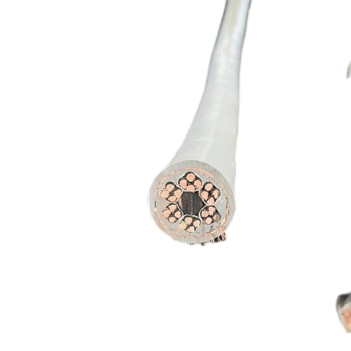 ������̳��hibet(�й�)�ٷ���վ