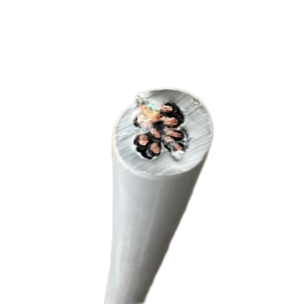 海博论坛·hibet(中国)官方网站