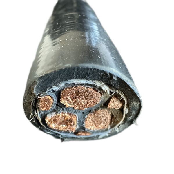 ������̳��hibet(�й�)�ٷ���վ